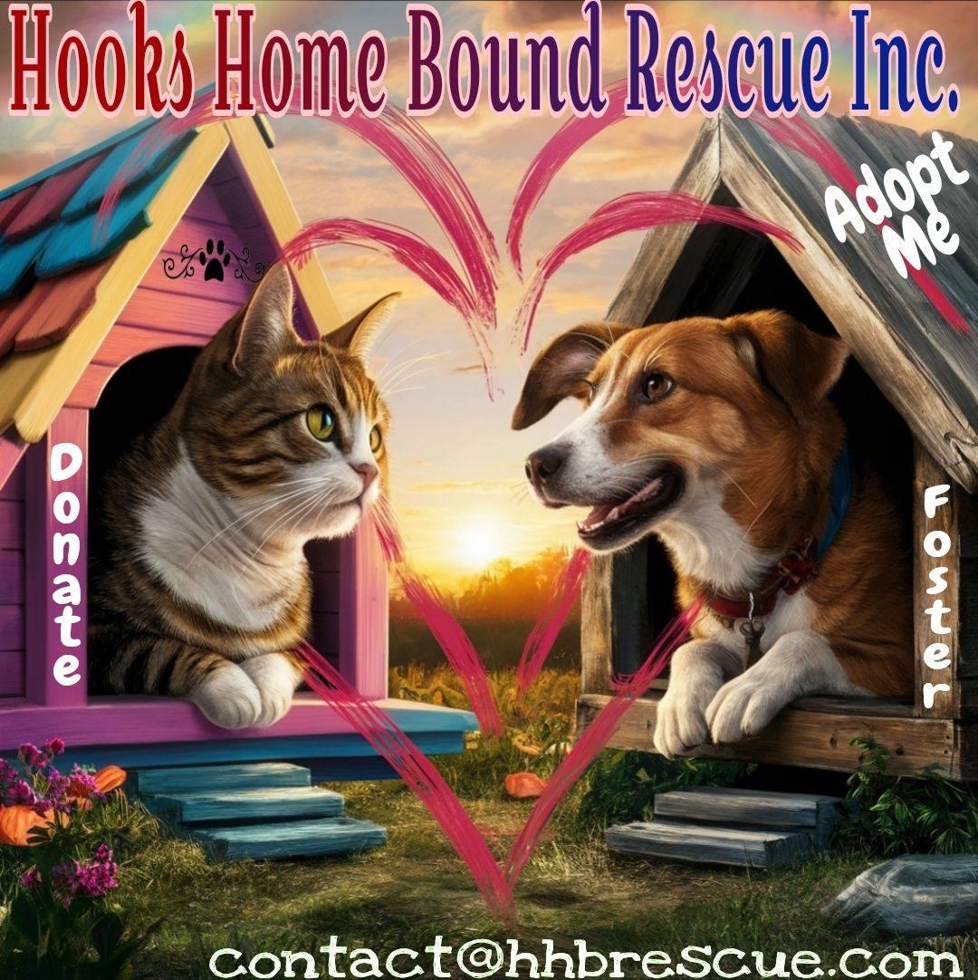 Hooks Home Bound Rescue Inc. | Barstow CA