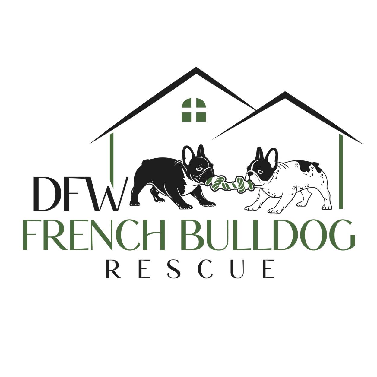 DFW French Bulldog Rescue