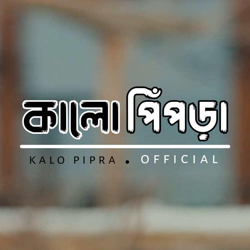 কালো পিঁপড়া