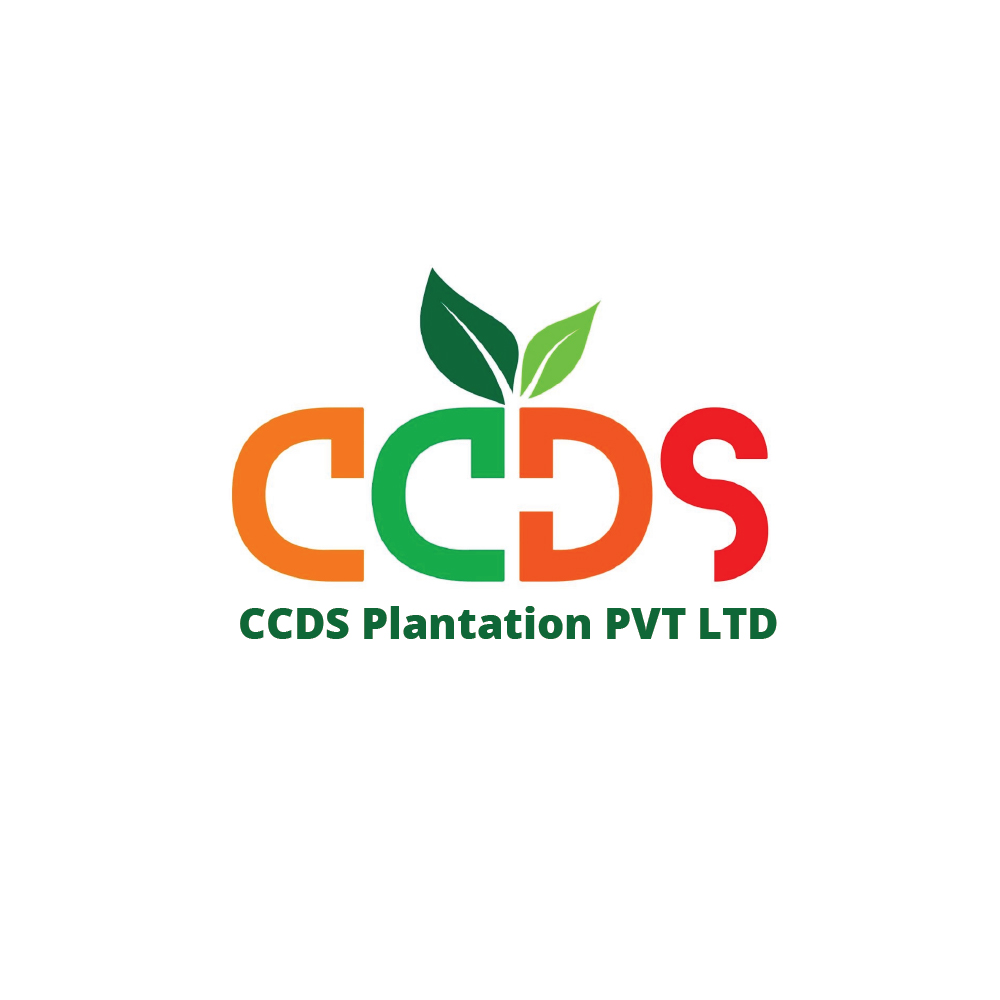 CCDS Plantation PVT LTD | Kaduruwela