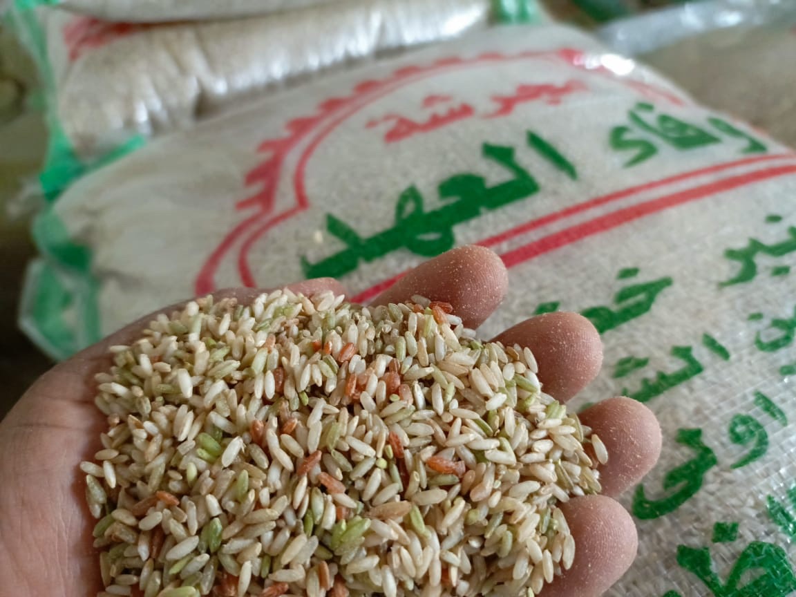عنبر المشخاب | Najaf