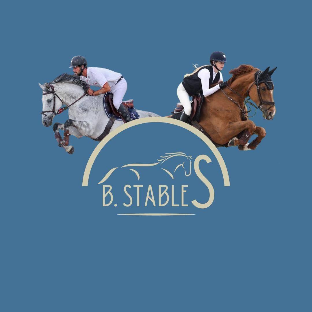 Benjamin Stahl Stables | Montrequienne