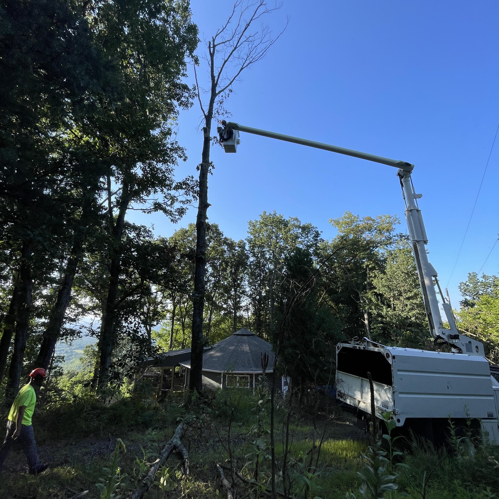 Custom Cuts Tree Service