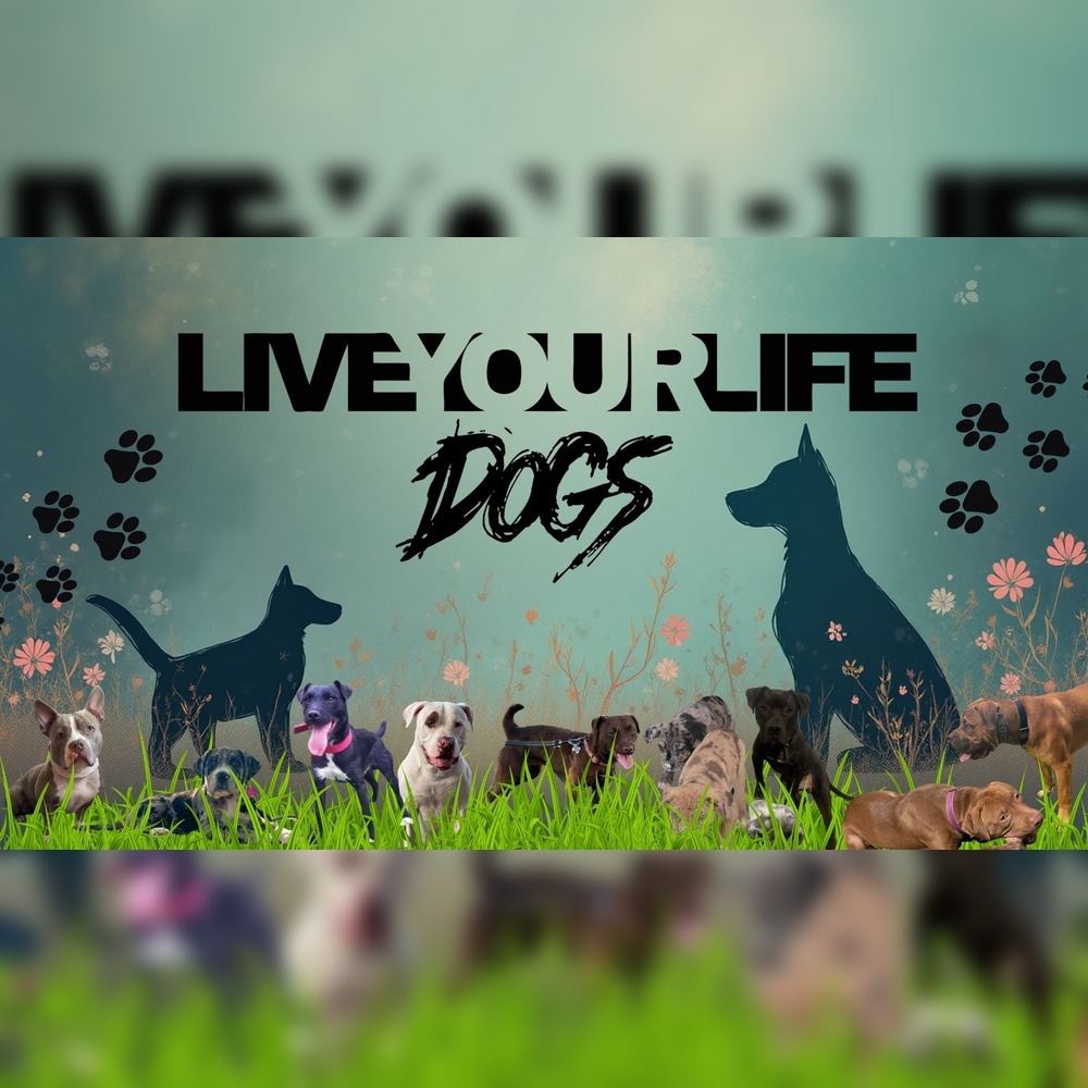 GREAT FOOD FOR DOGS WHOLE PREY whole rabbit, whole small chickens and ...