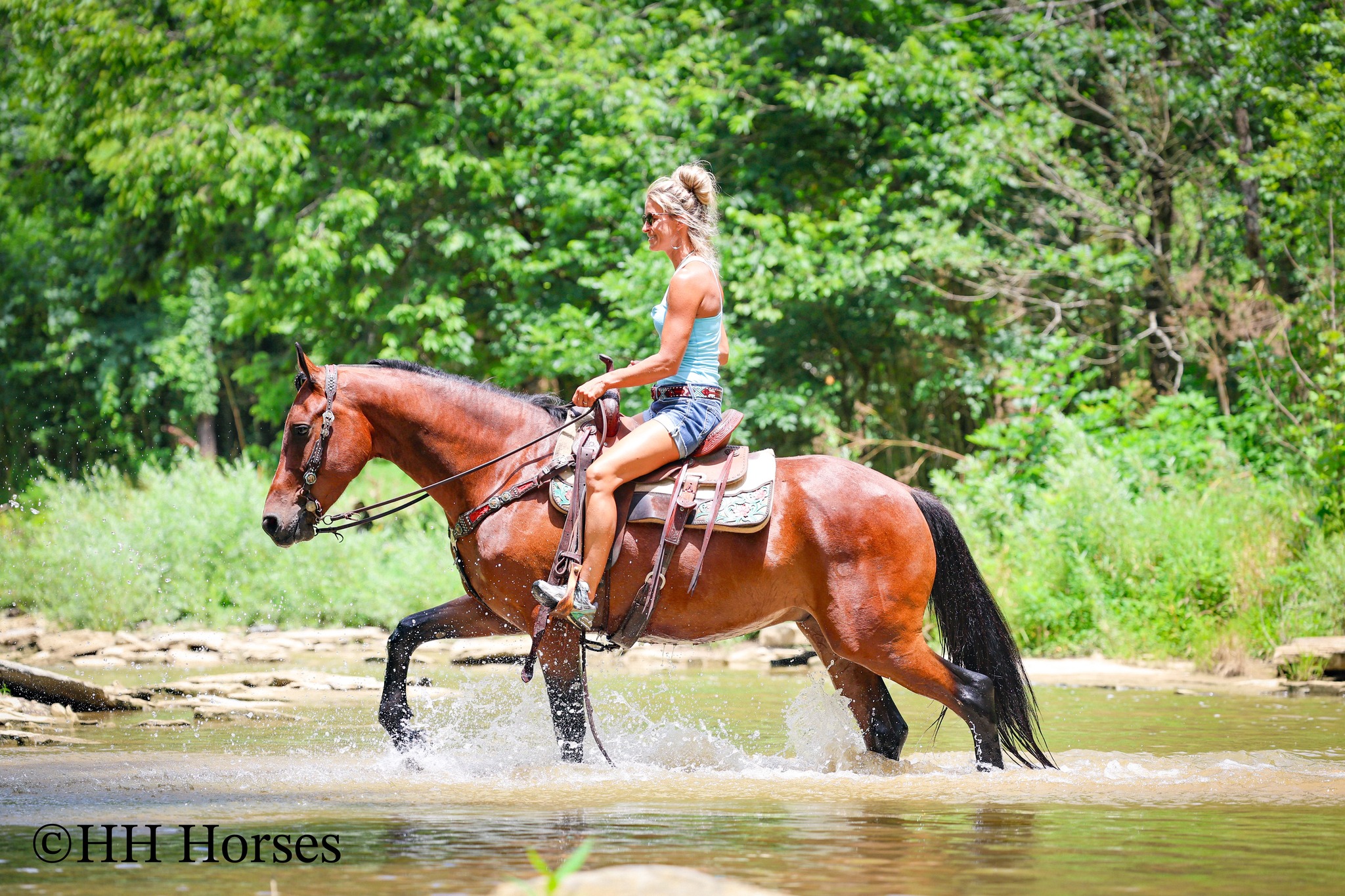 HH Horses