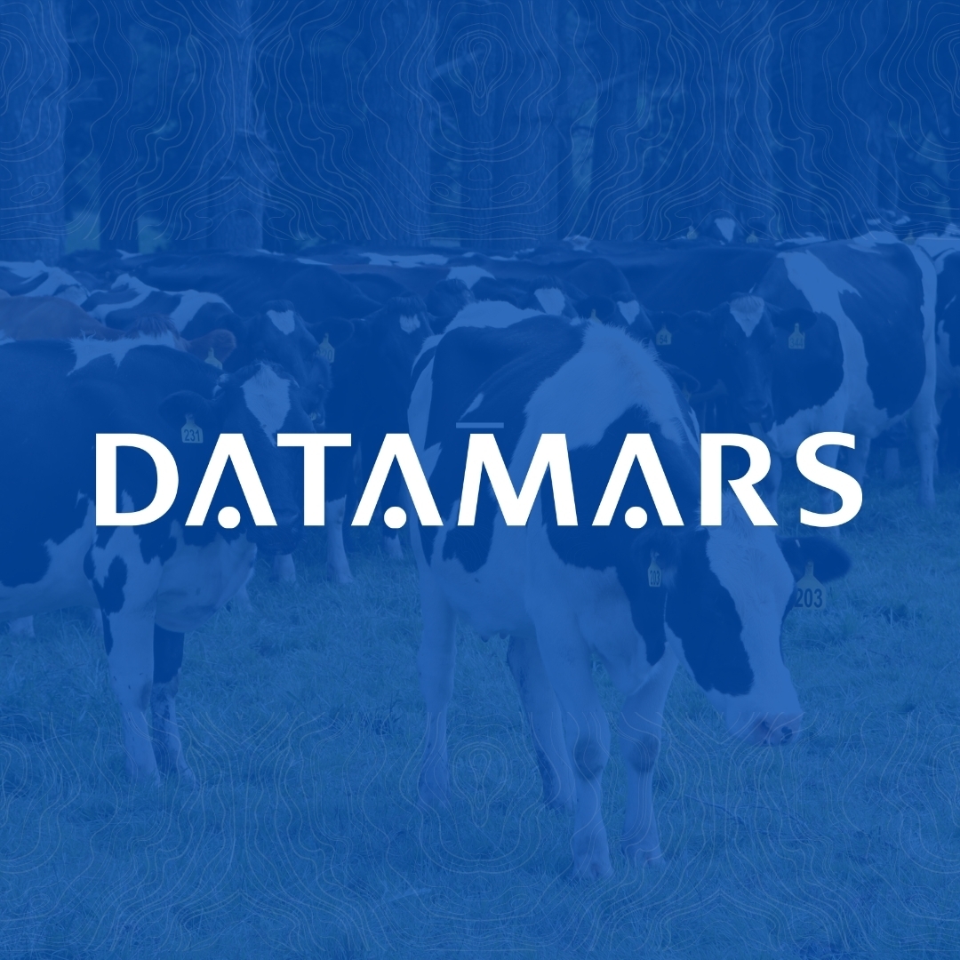 Datamars Saltillo