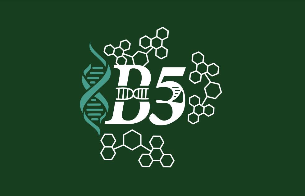 KB5 2023-2026