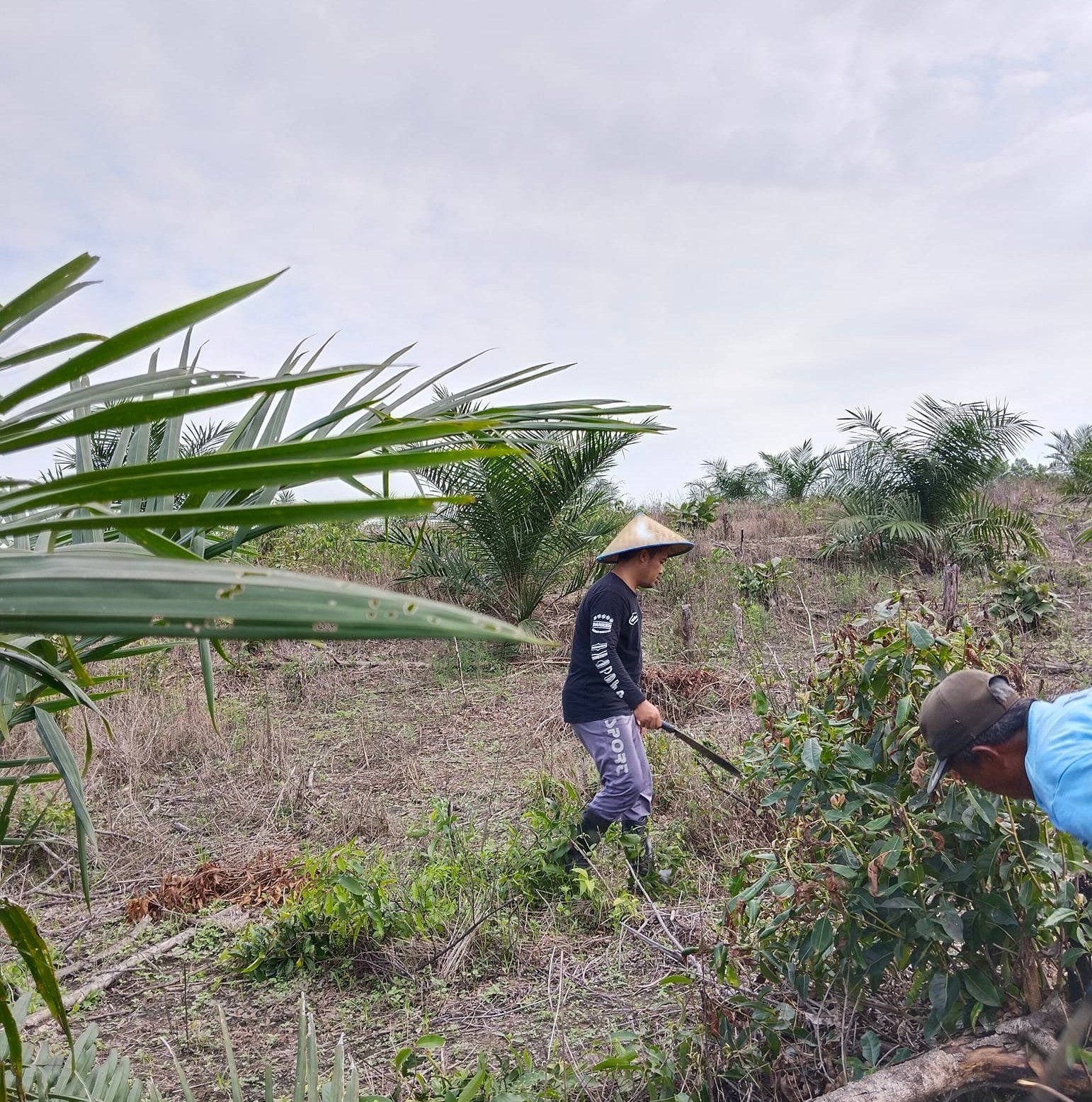 Petani Utun