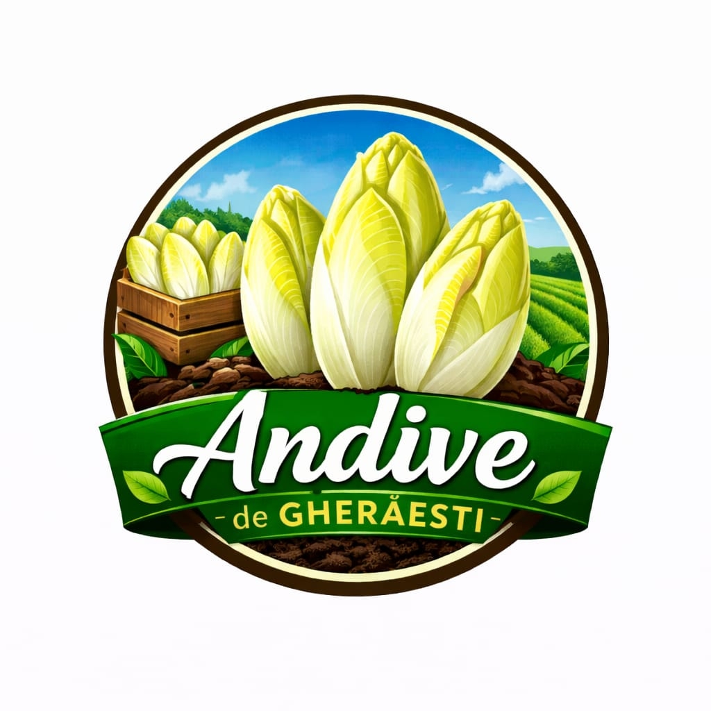 Andive de Gheraesti