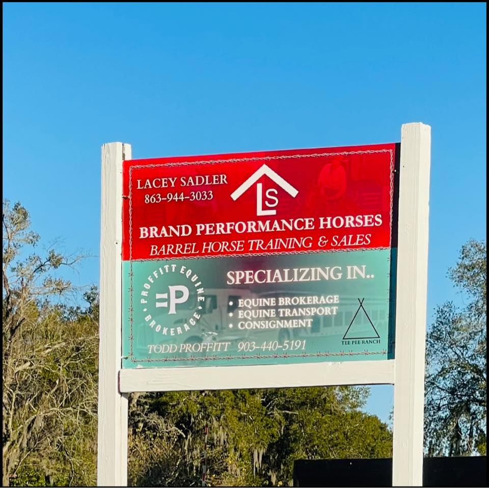 Three Ring Ranch and training facility | Morriston FL