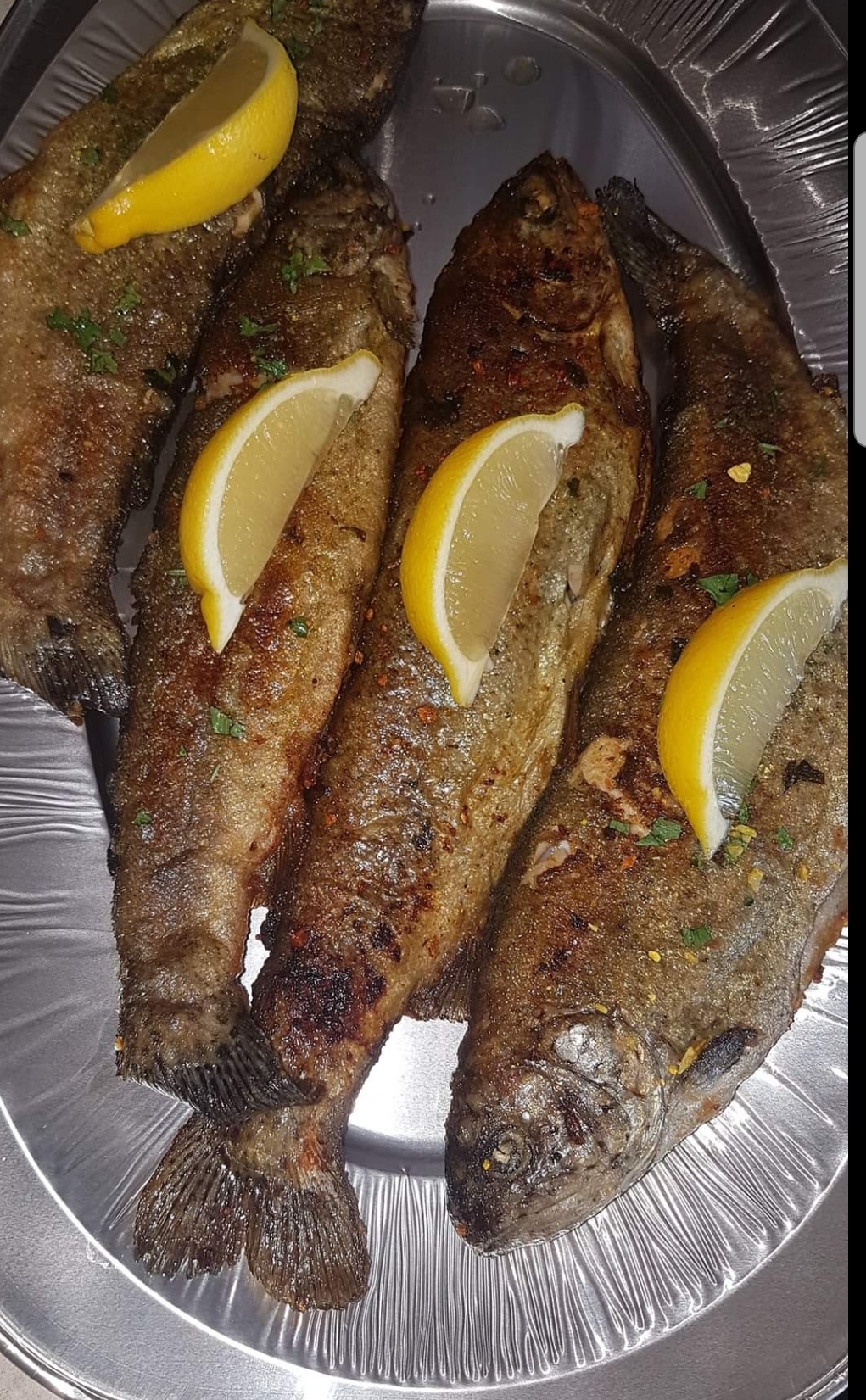 Svježa i pečena pastrmka - Arma