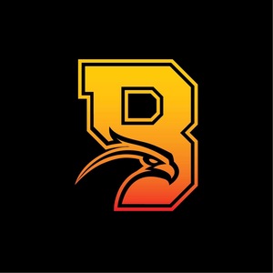 Bendigo Blaze Inline Hockey Club | Bendigo VIC