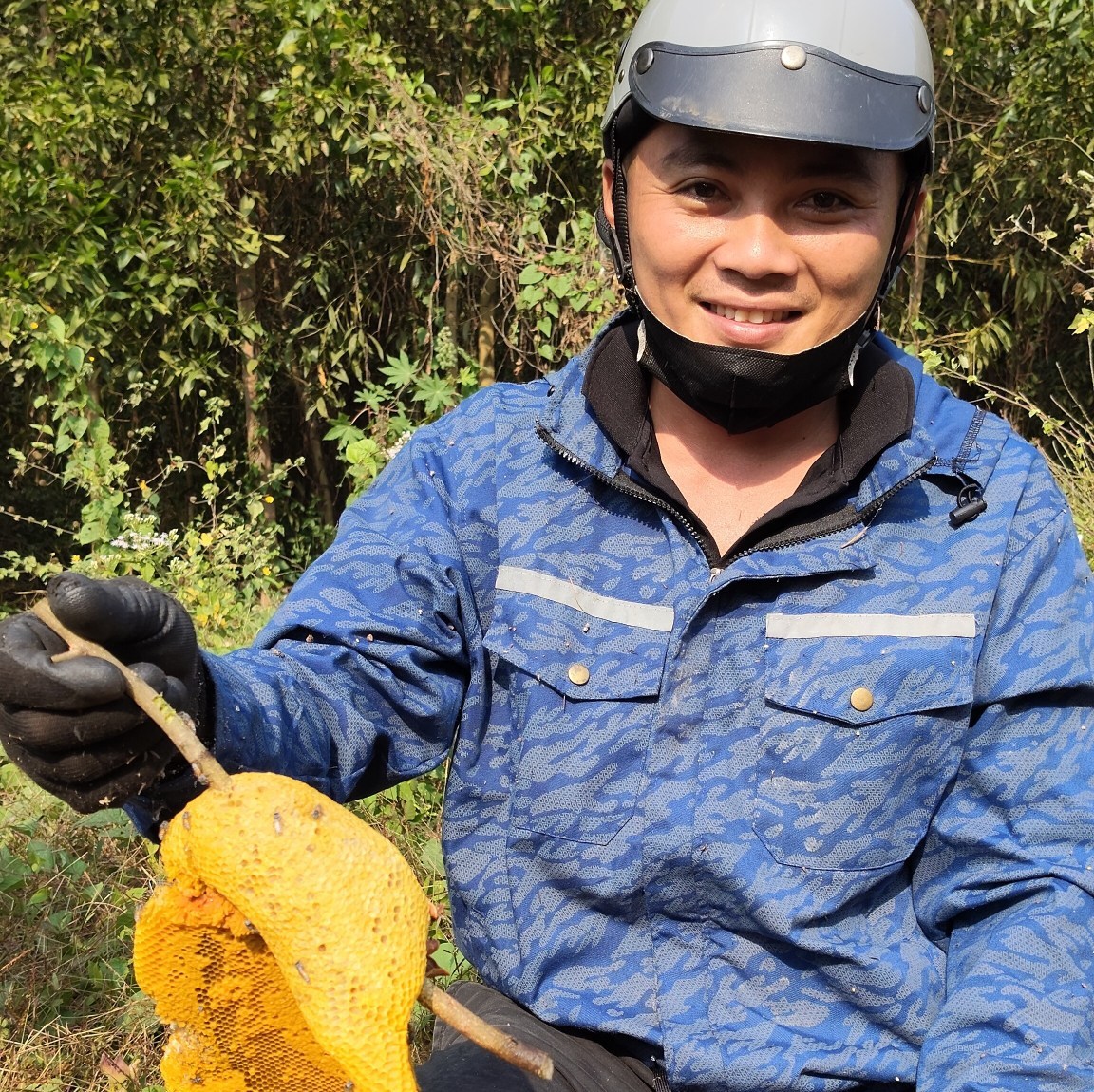 Rắn hổ hành xào sả ớt, hổ hèo hầm sả #trangmientay #tranvantrang ...