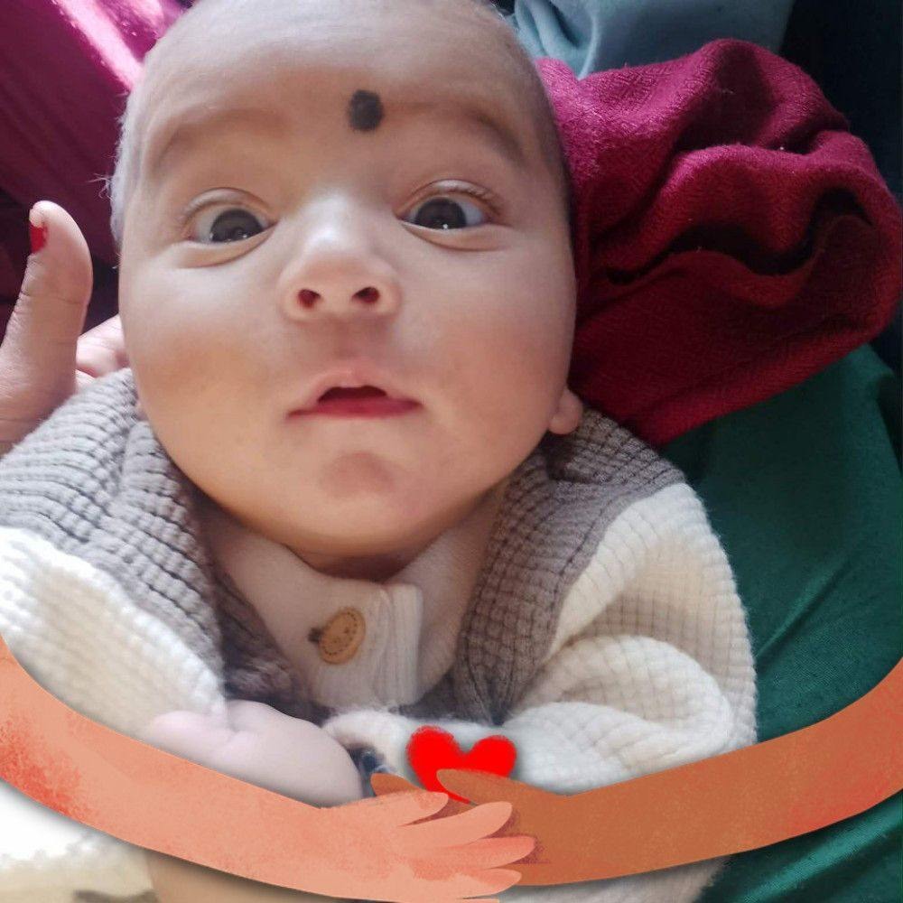 8 अक्टूबर 2026 🫛मटर का बाजार आज भी स्थिर,बीन बंदगोभी, शिमलामिर्च,पहाड़ी ...