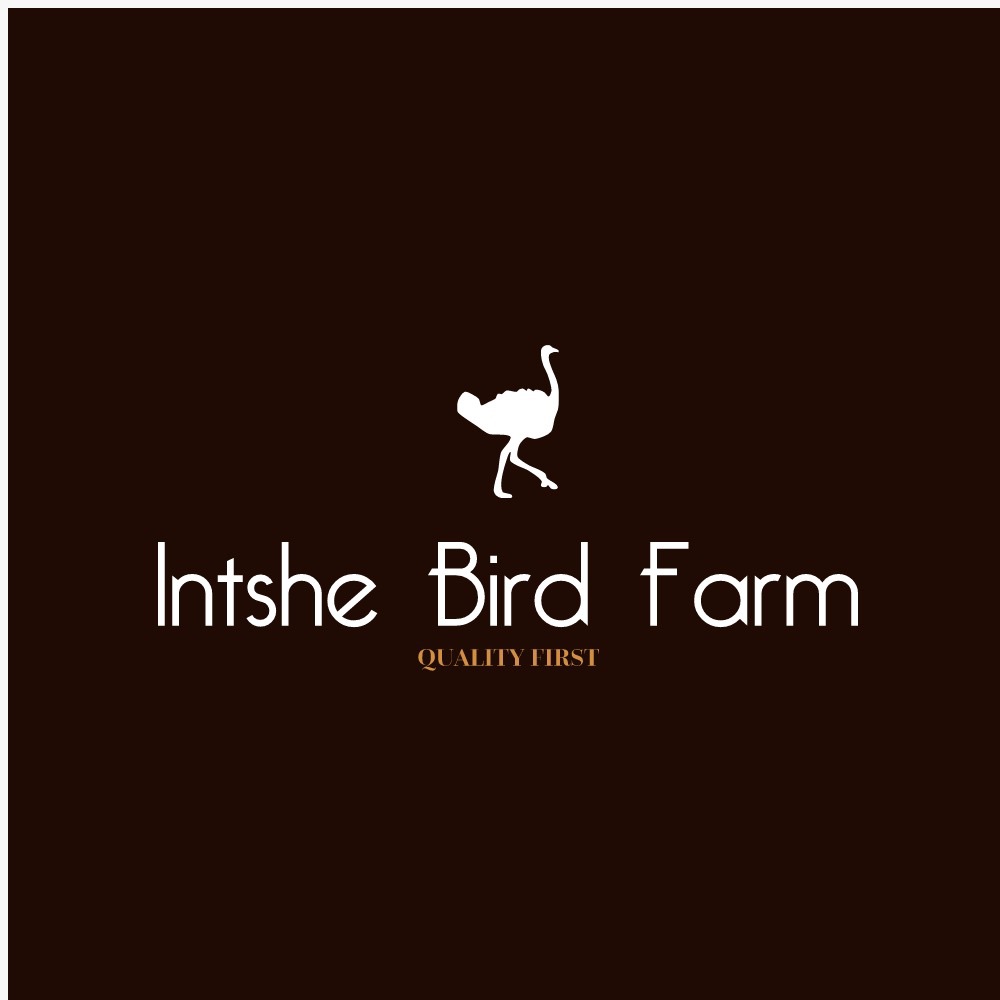 Intshe Ostrich Farm | Port Elizabeth