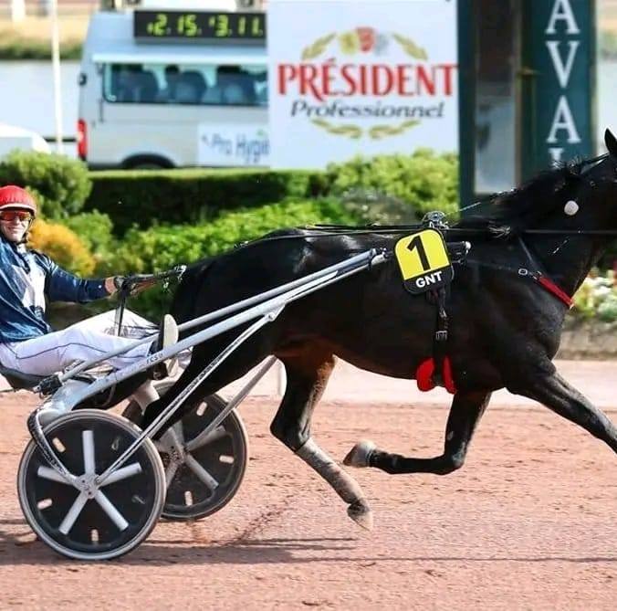 equidia pro maroc