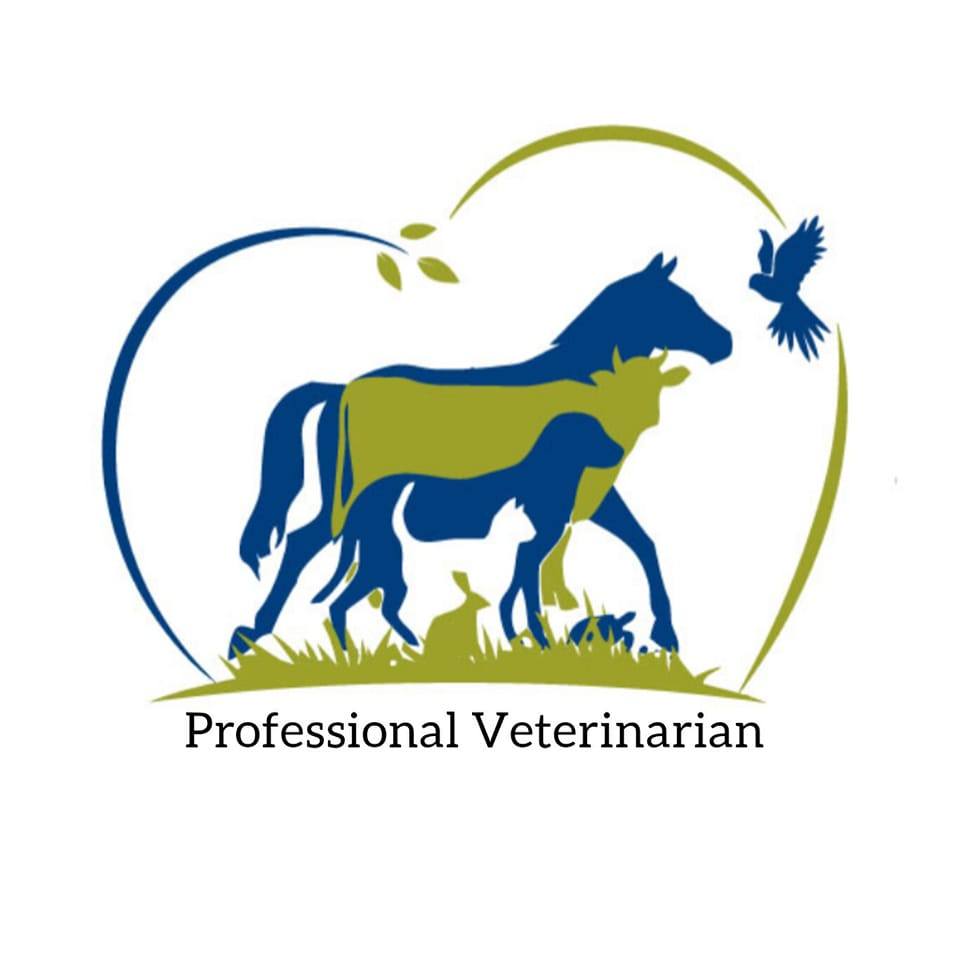 Livestock Hub Sindh | Update District shikarpur | Facebook