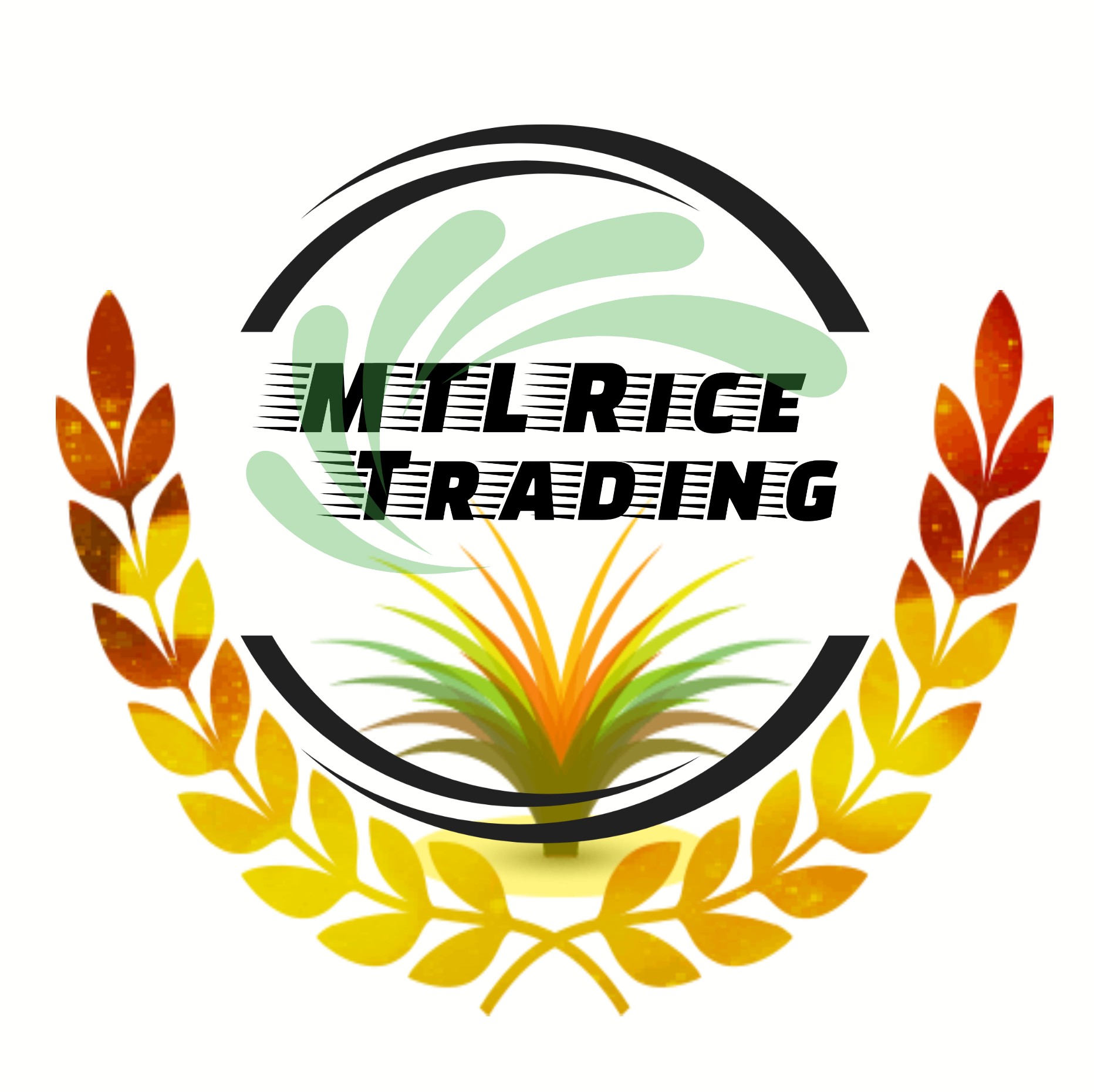 MTL Rice Trading