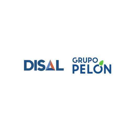 Talento Humano Distribuidora Disal/Grupo Pelón | Coyol