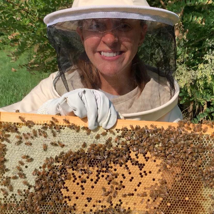 Little Red Hives