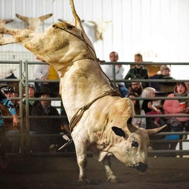 Mack Arena Bullriding Celina, Ohio | Celina OH
