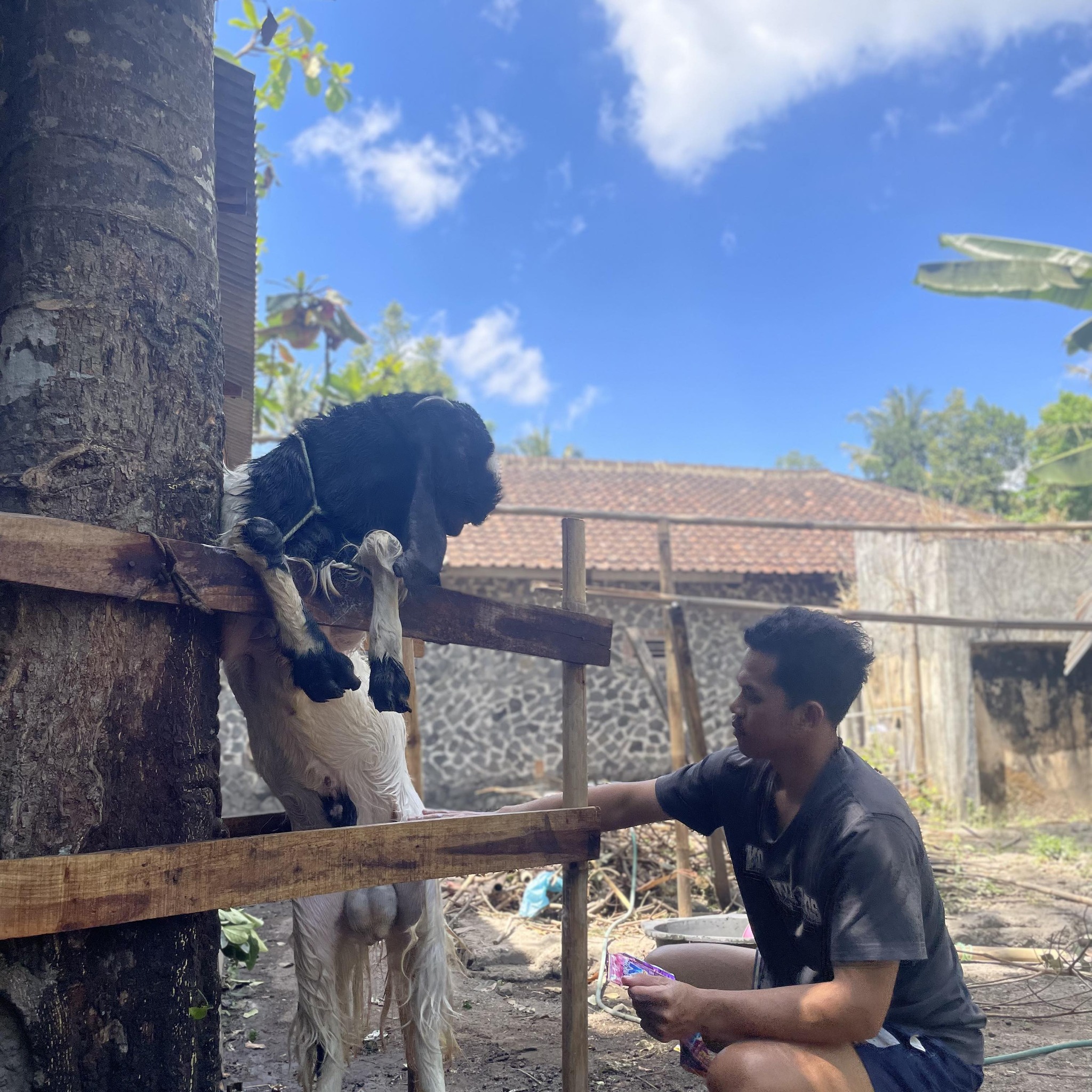 Budi W and Purwanti