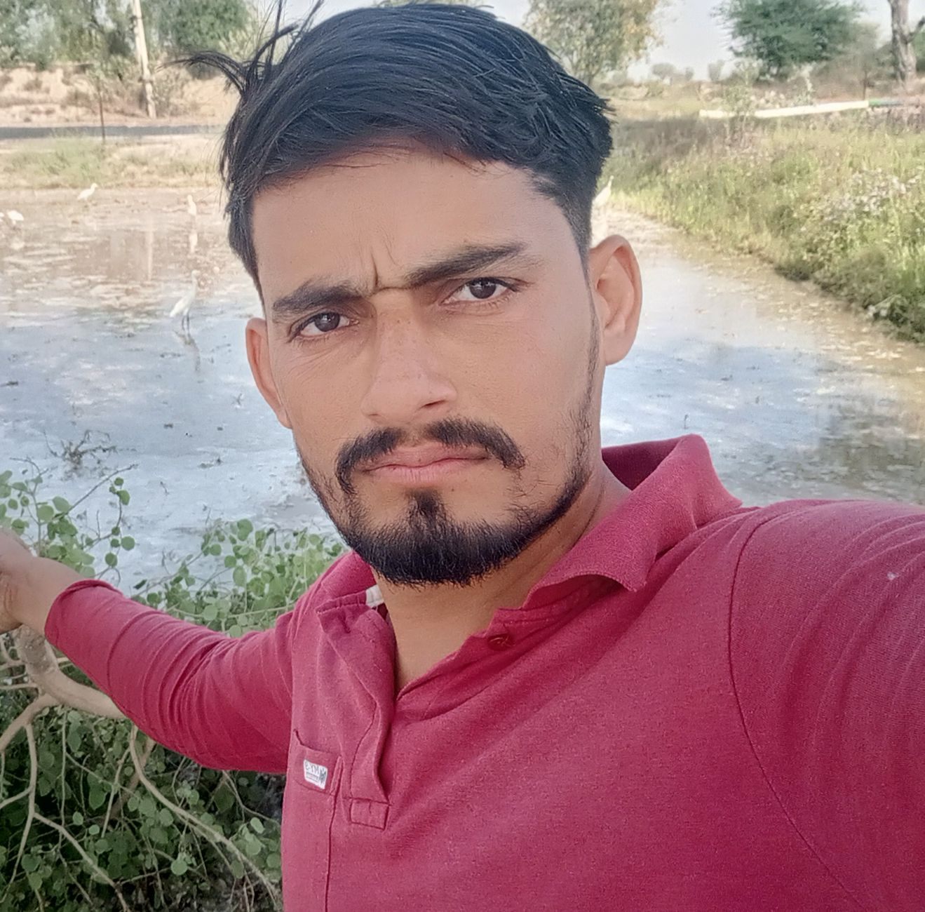Raj Kisan