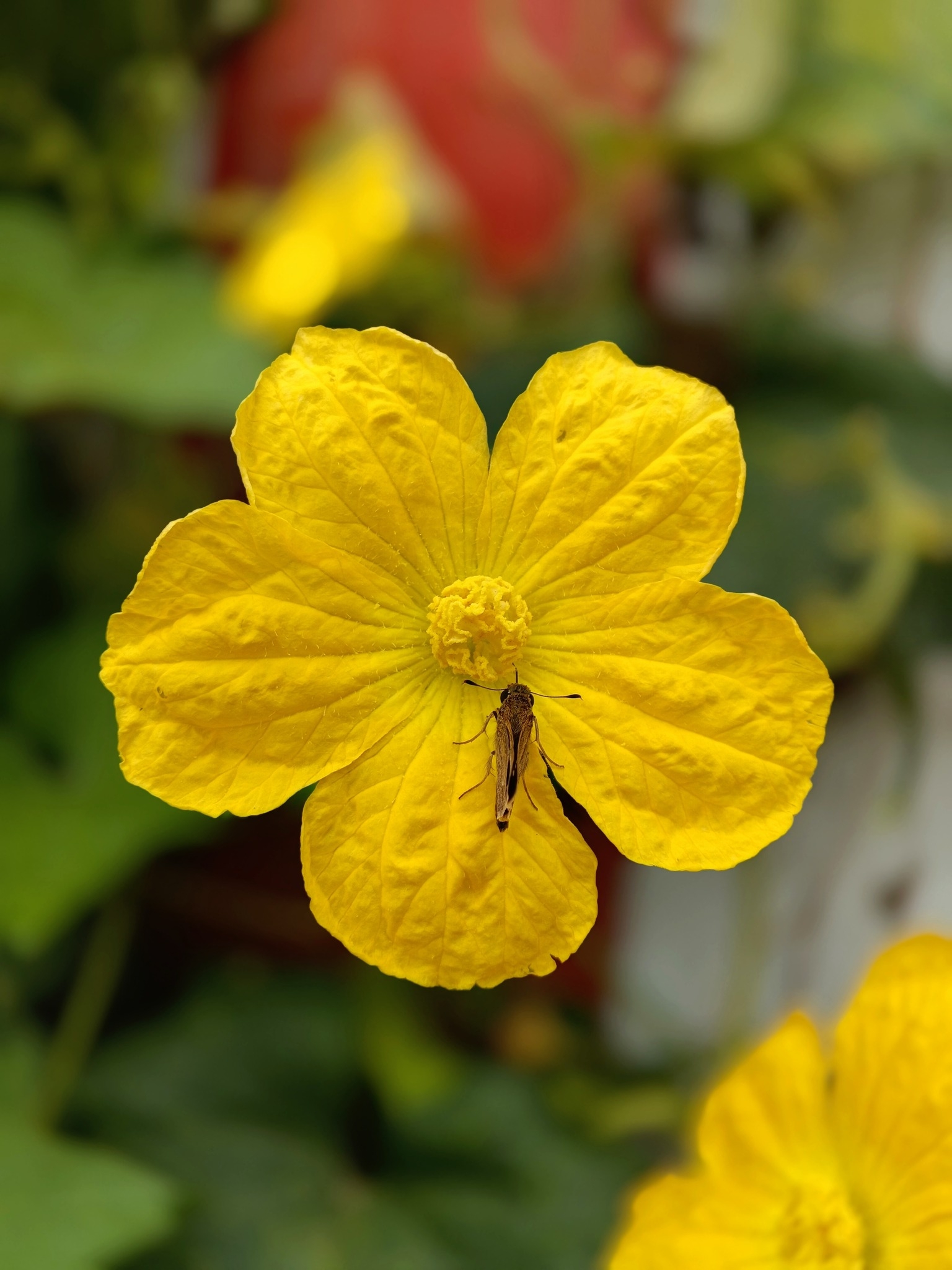 আলতাব কম্পিউটার