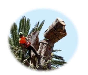 Luke's Tree Services