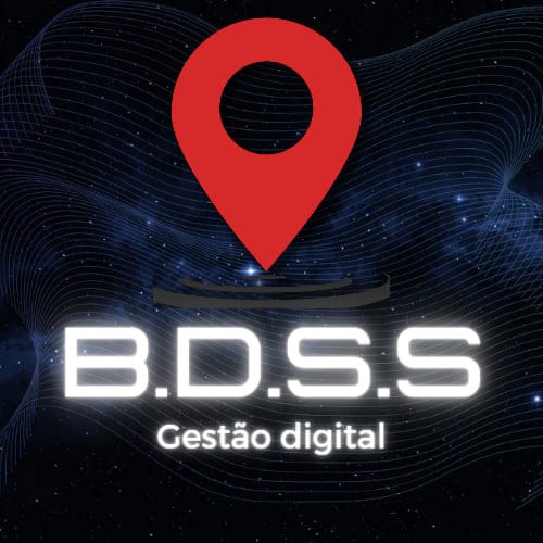 BDSS Gestão Digital