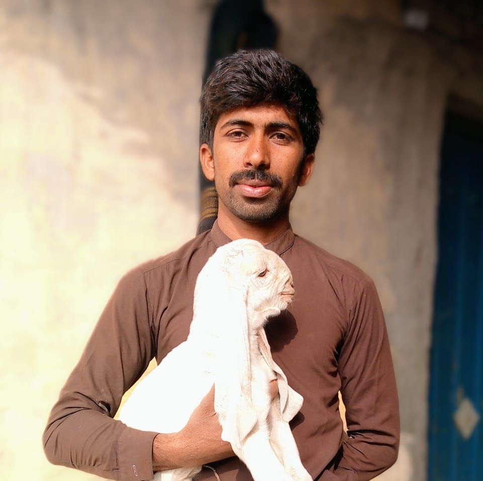 Saood