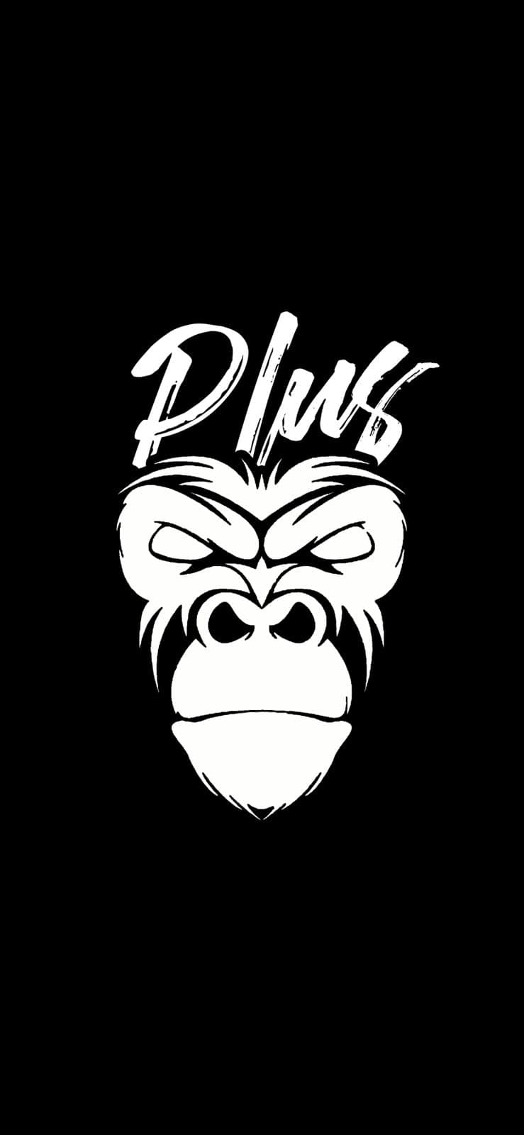 Team Plus | Monterrey