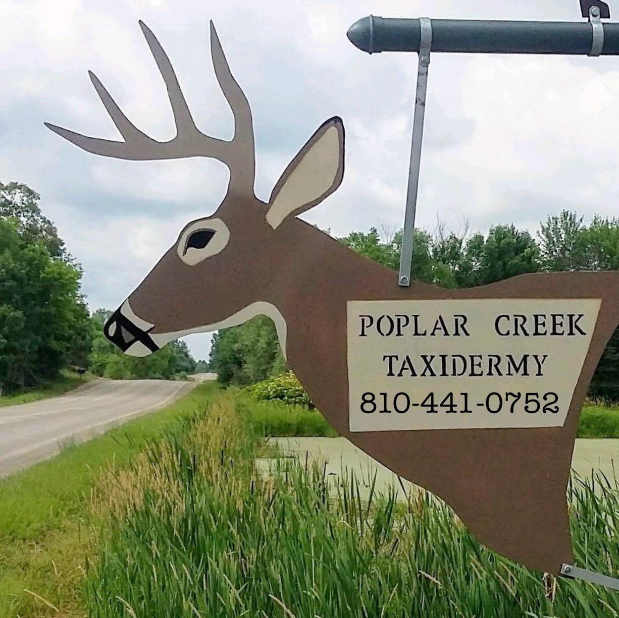 Michigan Rut Report | What are shoulder mounts going for these days ...