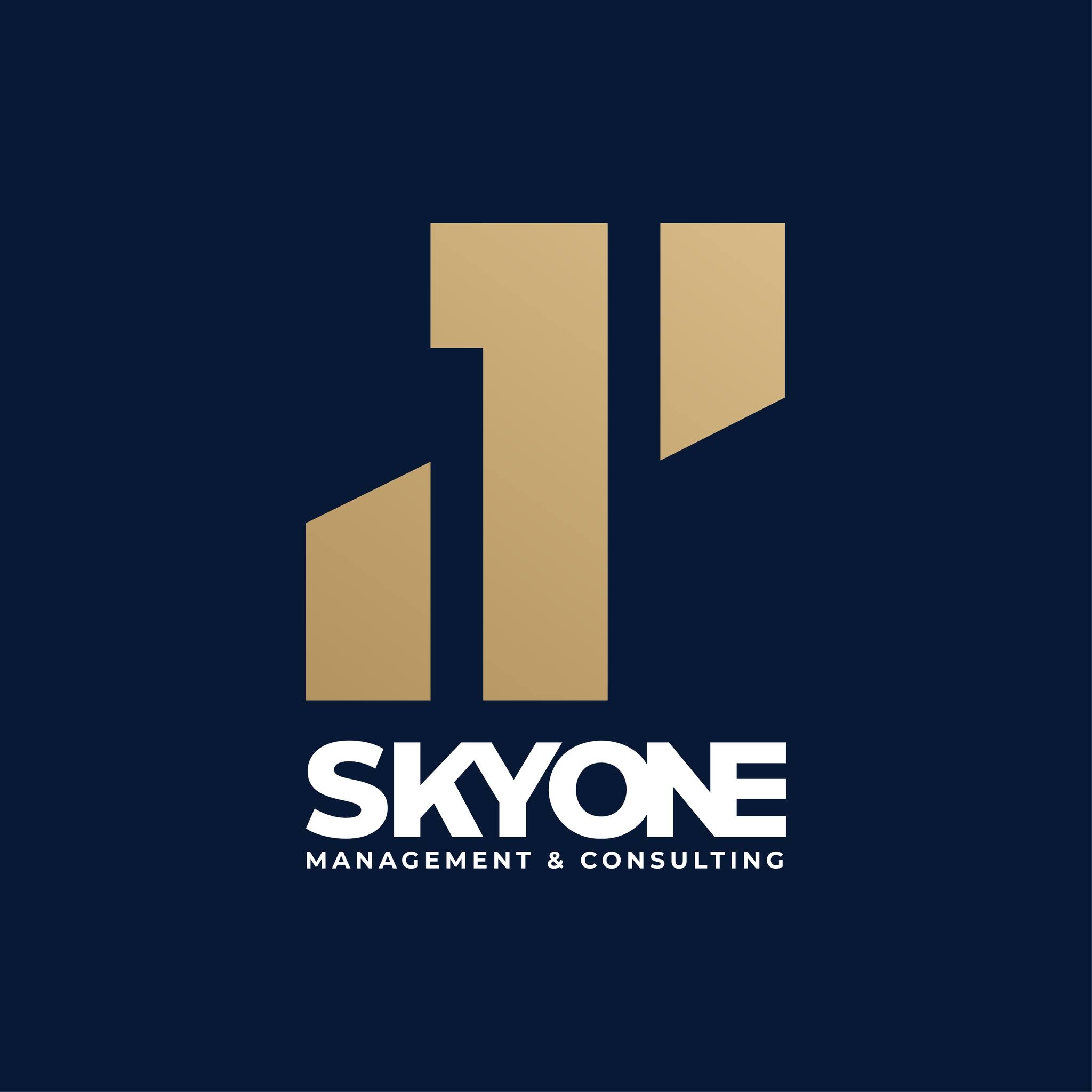 SkyOne Management & Consulting