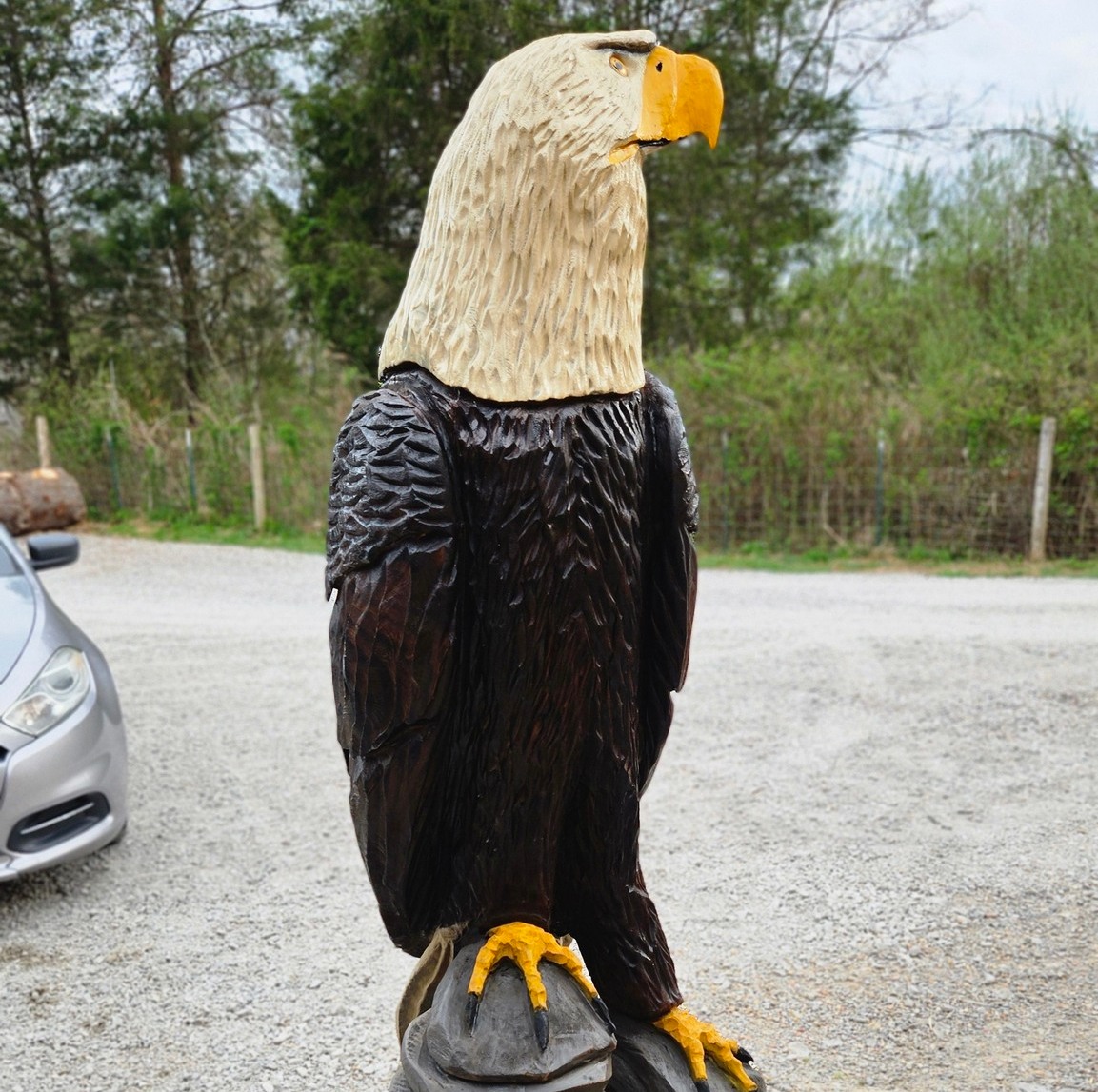 Chainsaw Carvers | Question… does everyone else put oil on and then ...