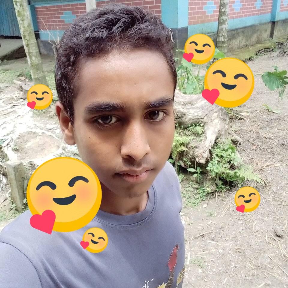 md rofik