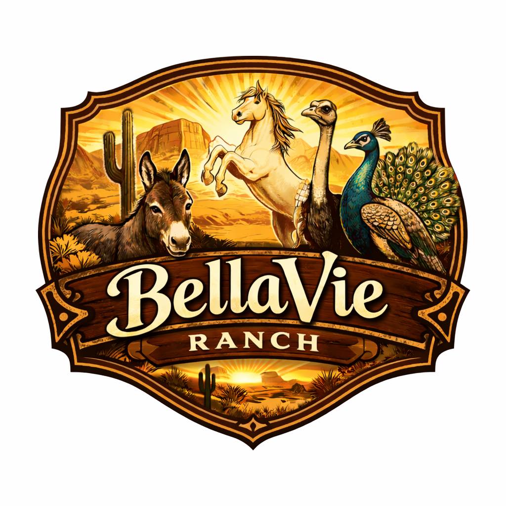 Bella Vie Ranch
