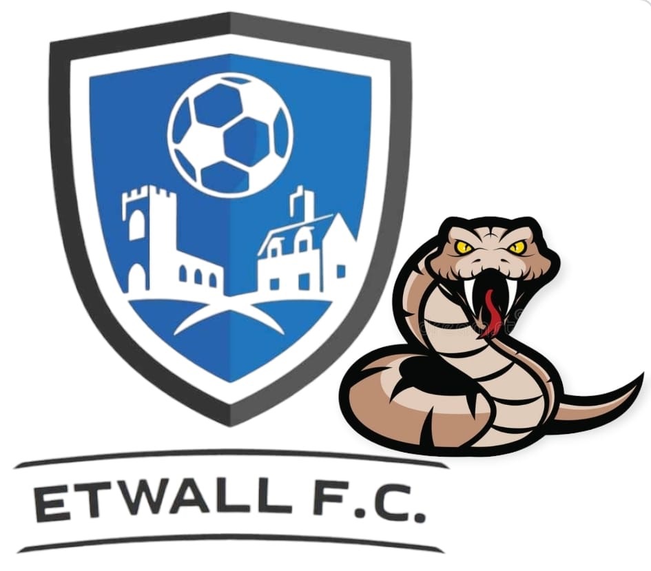 Etwall FC Vipers, Cobras & Pythons