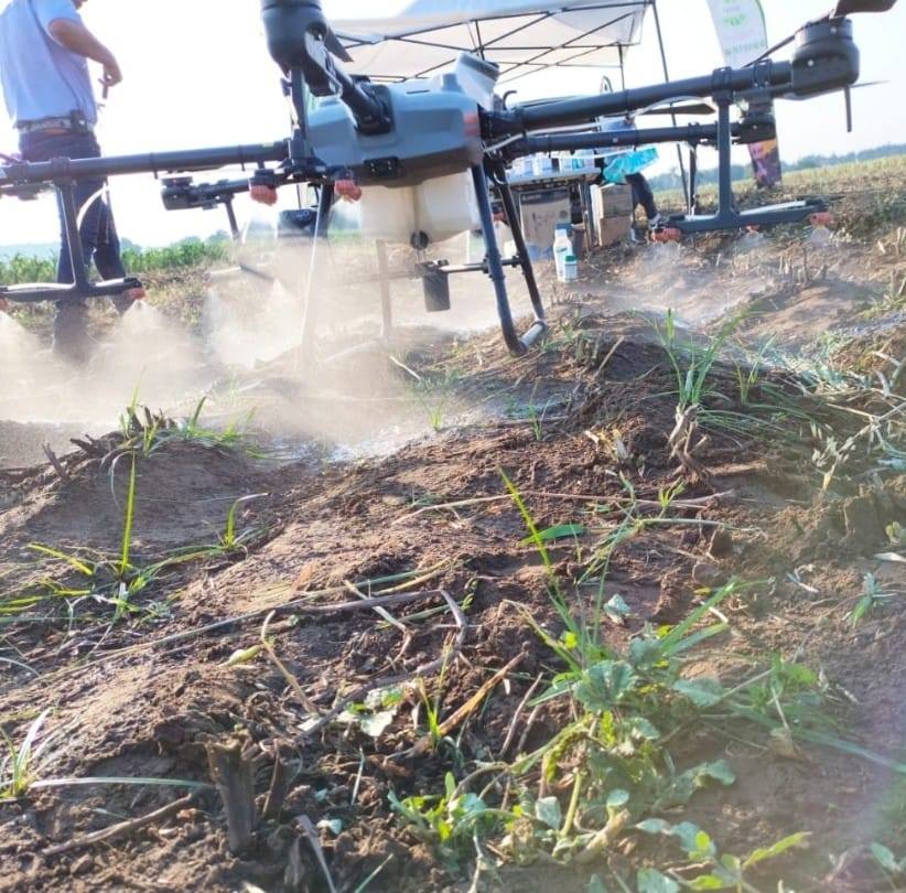 Prosea Agricultura