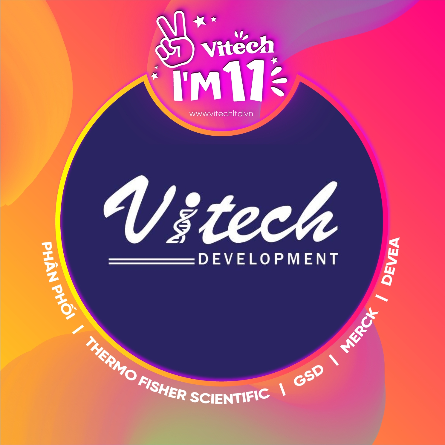 Vitech Development