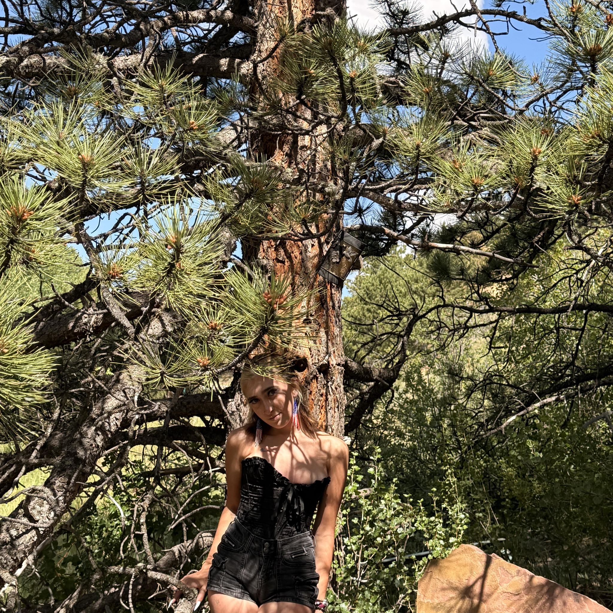 Lake Havasu City Community Page | Hiiii just curious on if anyone knows ...
