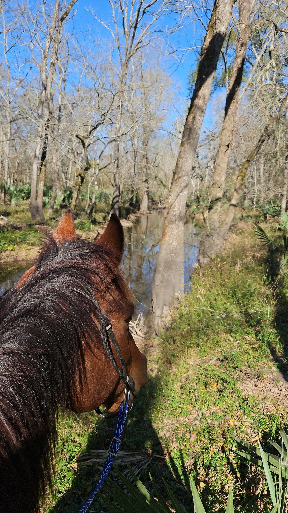 PRICE RANCH Trails | Montgomery TX