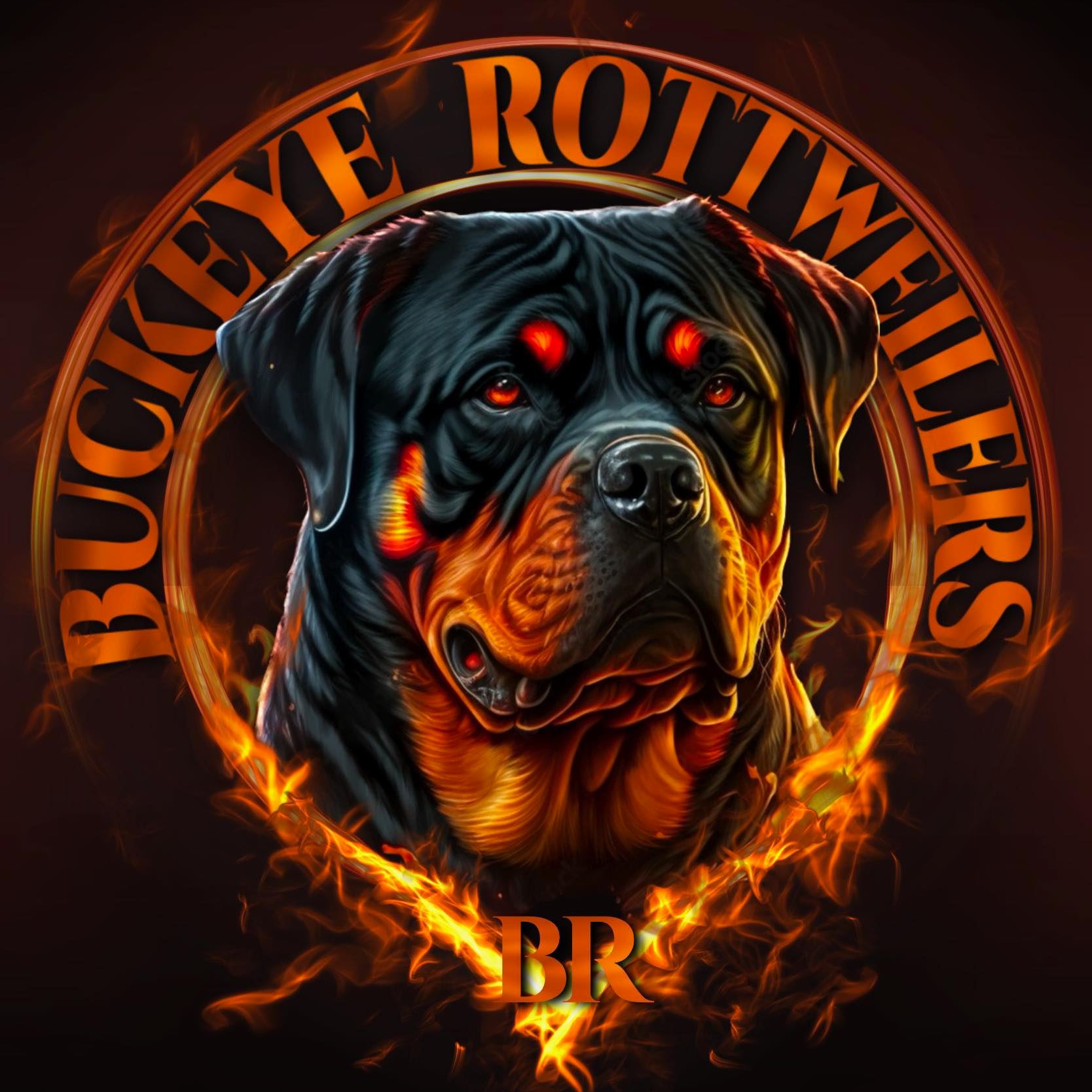Buckeye Rotts | Bucyrus OH
