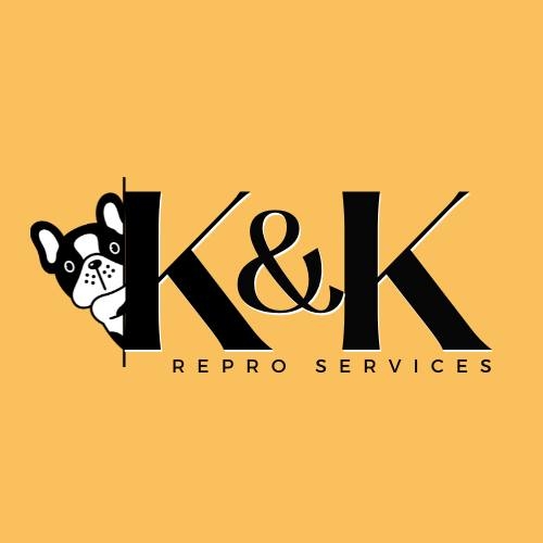 K&K Repro Services | Warren MI