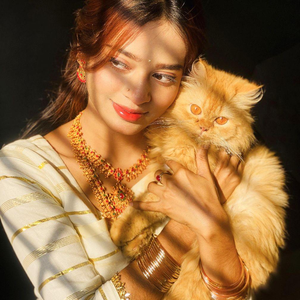 Persian Cat House | Faridpur