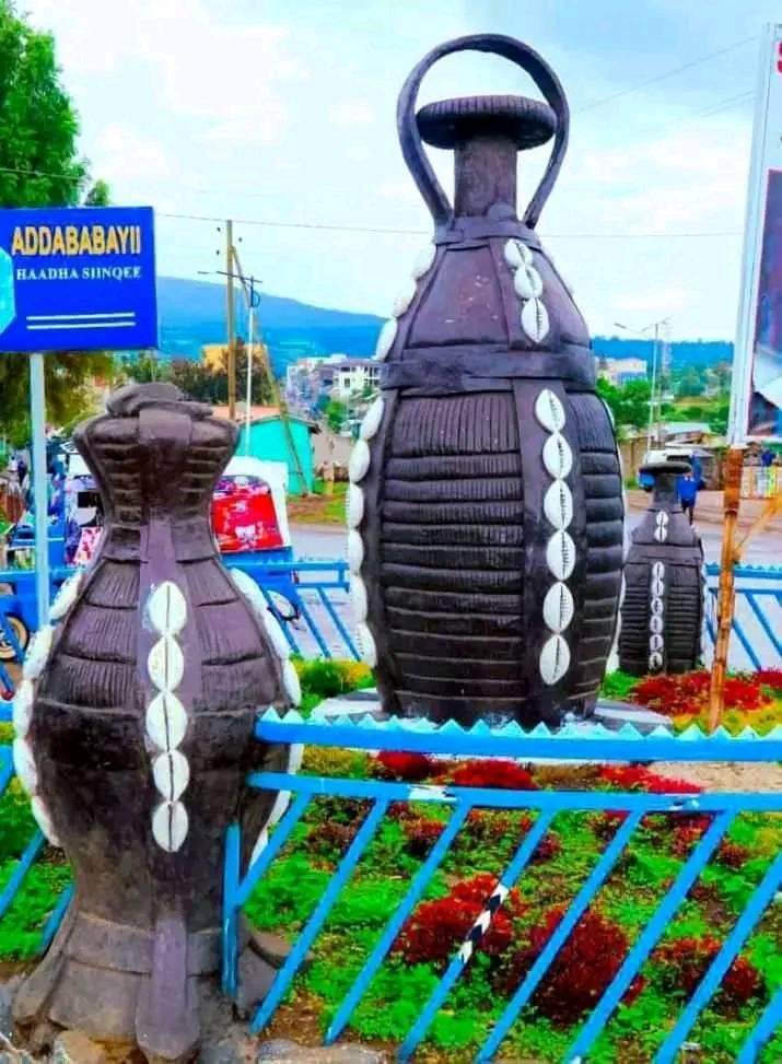 oromia-qabxiin-qormaata-kutaa-8ffaa-bara-kanaa-ifoome-naannoo