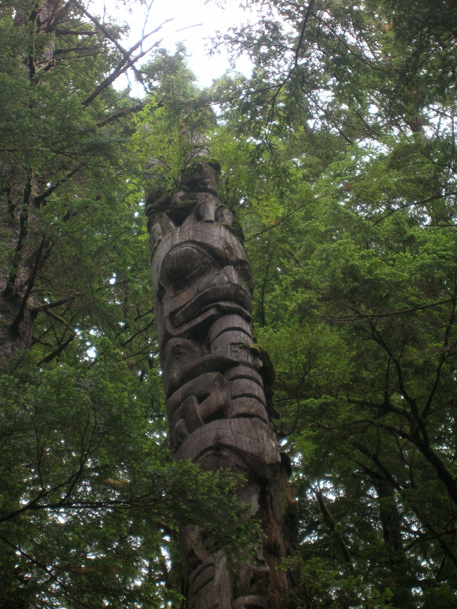 Go Experience Haida Gwaii | Sandspit BC