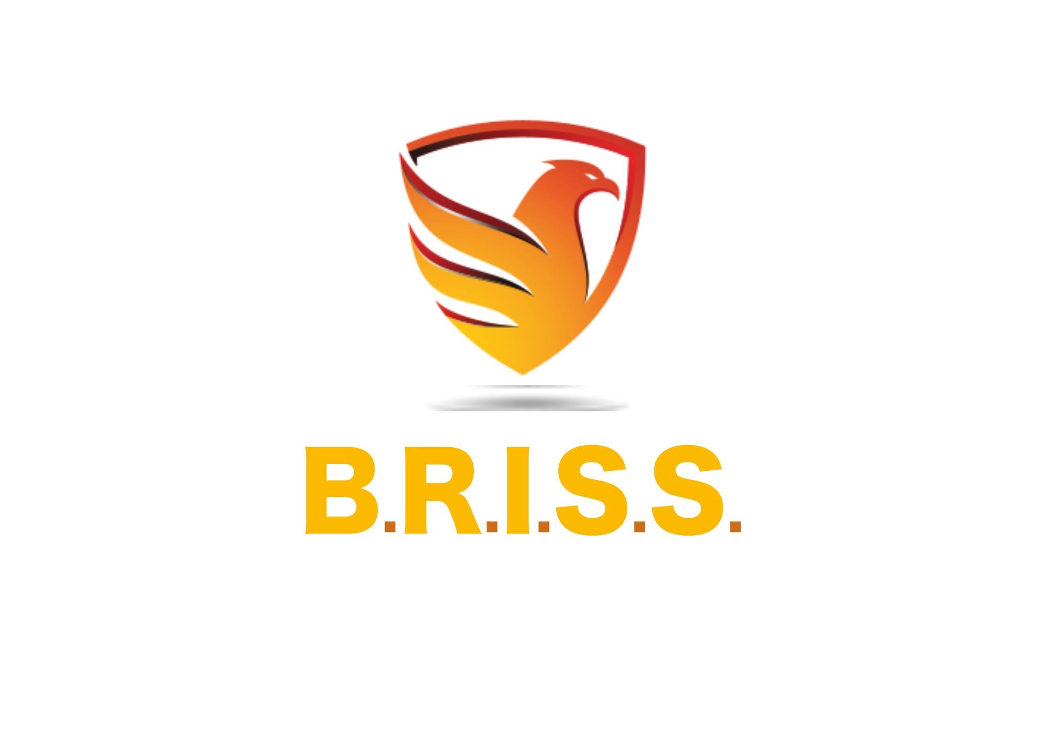 BRISS Sécurité | Saint-Pierre Réunion