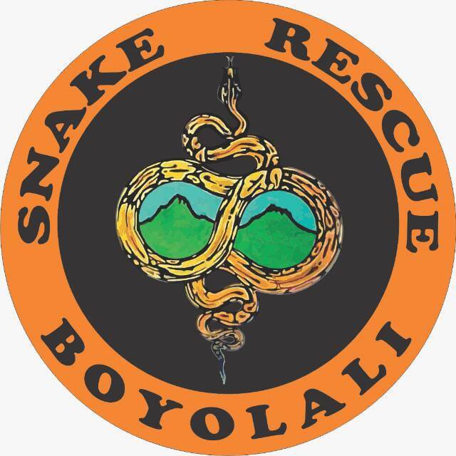 Snake Rescue Boyolali | Boyolali