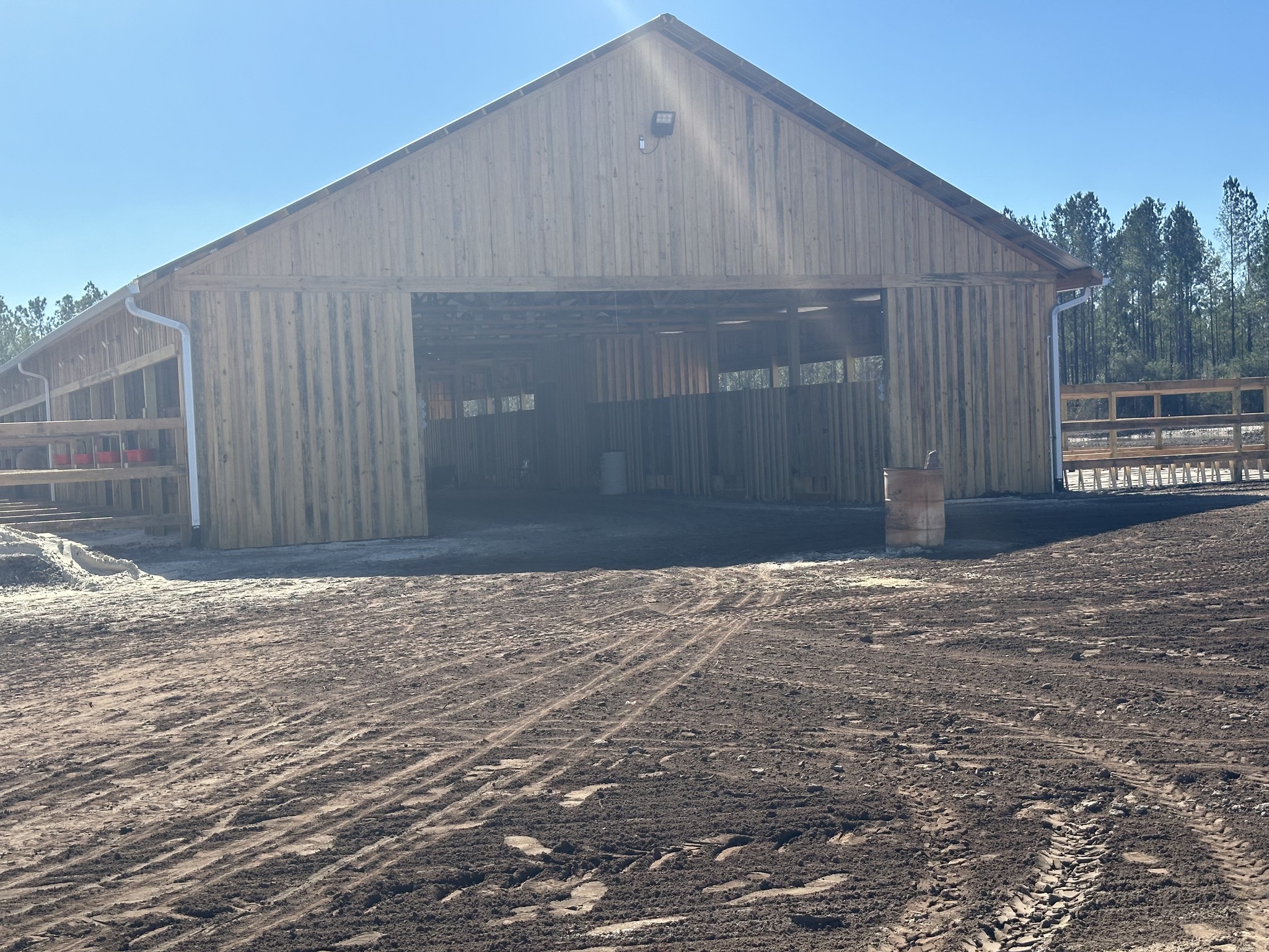 AR Ranch and Stables | Ludowici GA